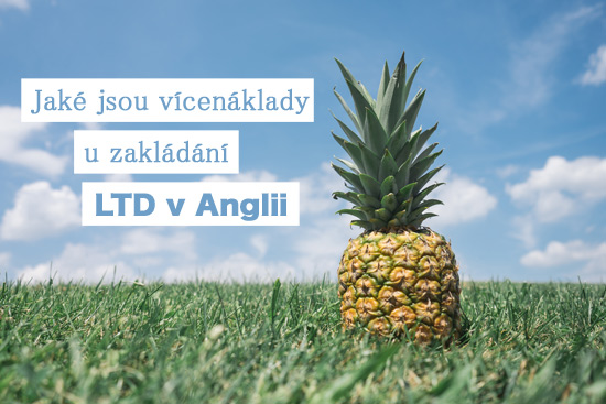 Jaké jsou vícenáklady u zakládání LTD v Anglii? Jaké jsou vícenáklady u zakládání LTD v Anglii?